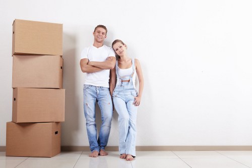 Removal van and moving boxes for small removals in Lewisham