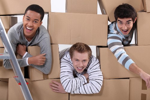 Professional movers handling office equipment in Lewisham