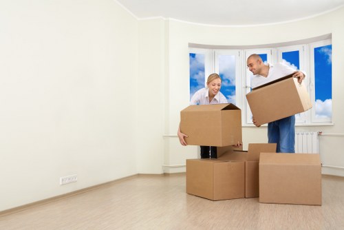 Visual cue for screen-reader friendly storage website content